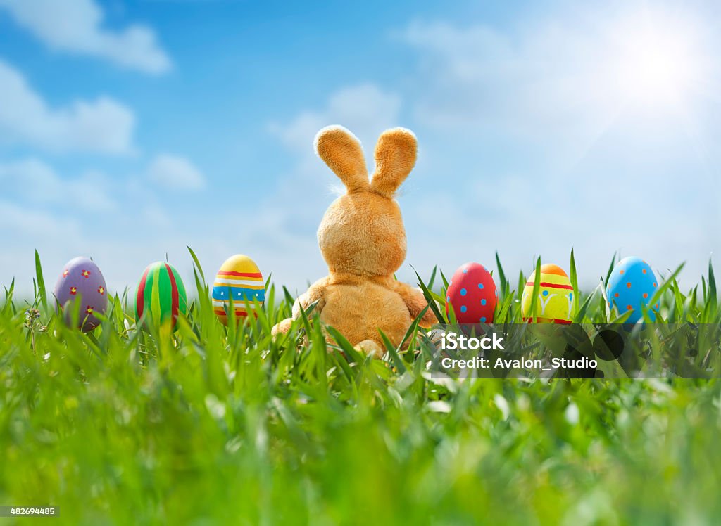 Ostereiern und Bunny in Wiese - Lizenzfrei Landschaftspanorama Stock-Foto