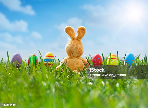 Ostereiern Und Bunny In Wiese Stockfoto und mehr Bilder von Landschaftspanorama - Landschaftspanorama, Osterhase, Bildschärfe