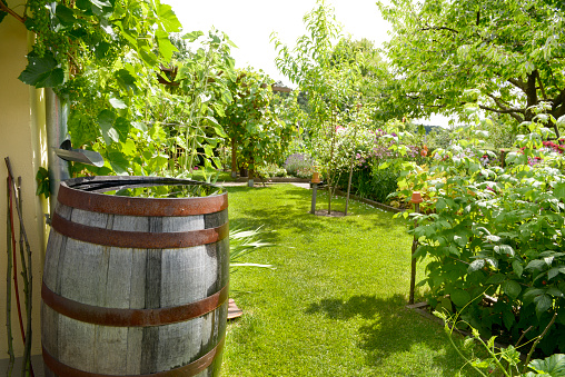 rain barrel in the garden (Schrebergarten)