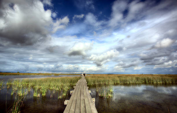 Scenic view of Saskatchewan marshes stock photo