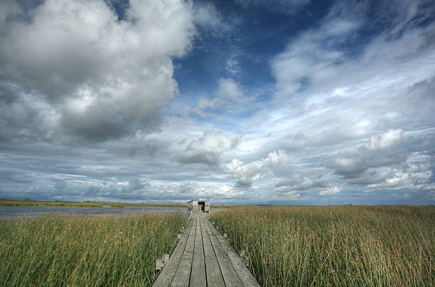 istock Scenic view of Saskatchewan marshes 482696001