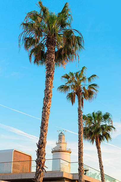 Lighthouse of Malaga at the port in dusk time. Spain. Andalusia.