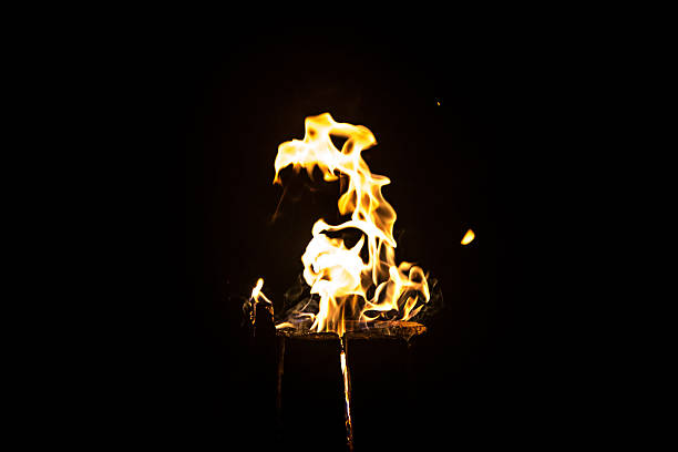 istock Photo of flame - bird's beak 482700976