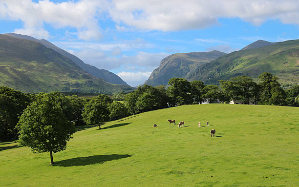 istock Gap Of Dunloe 482701584
