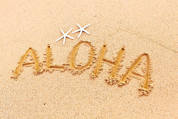 istock Aloha Greeting From Beach of Hawaii 482704162