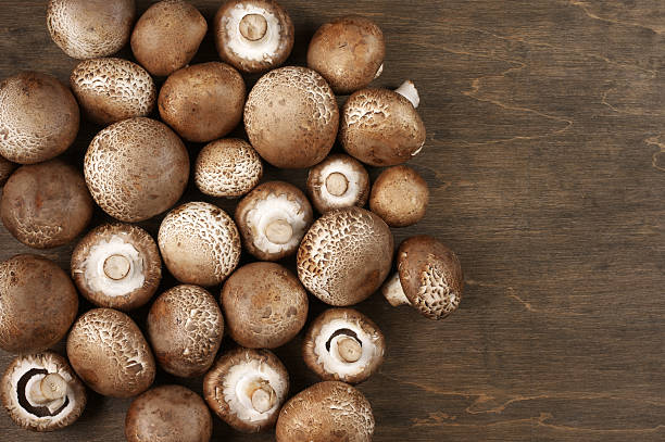 istock Brown cap mushrooms 482705750