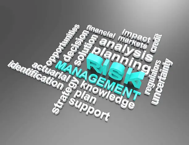 risk management wordclouds 3d