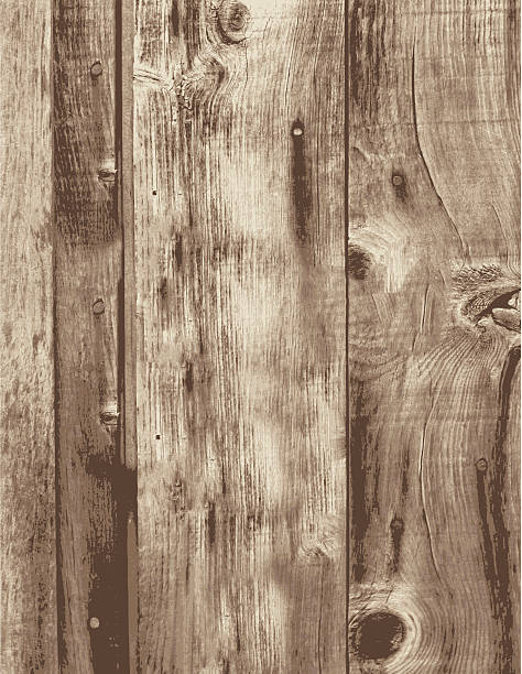 ilustrações, clipart, desenhos animados e ícones de velho grunge madeira vazio vertical talos de quadros - wood backgrounds wood grain old