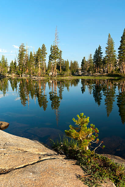 マウンテンレイクリフレクション - stanislaus national forest ストックフォトと画像