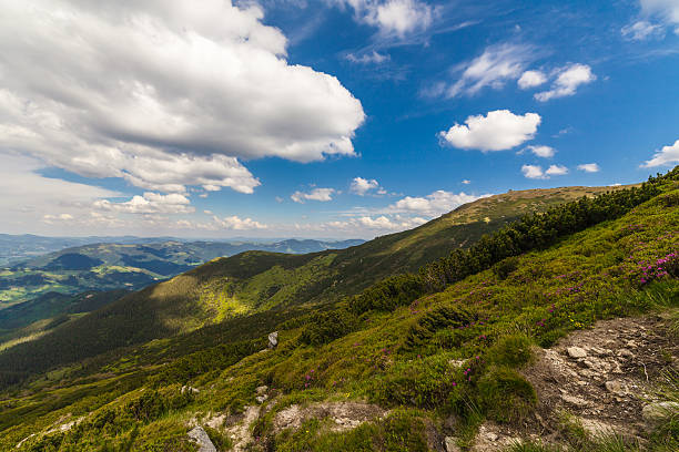 istock Beautiful mountains landscape in Carpathian 482710222