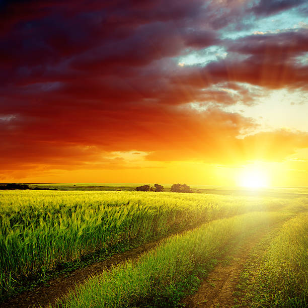 istock red sunset over road in green field 482710271