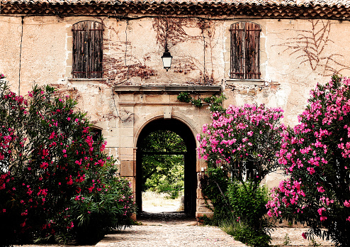 typical provencal country house surrounded by \