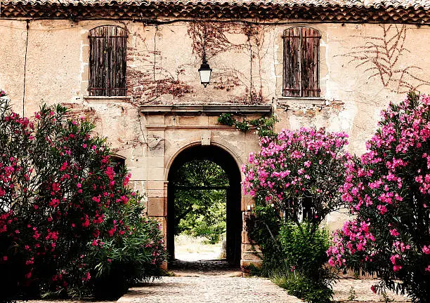 typical provencal country house surrounded by "laurier" trees