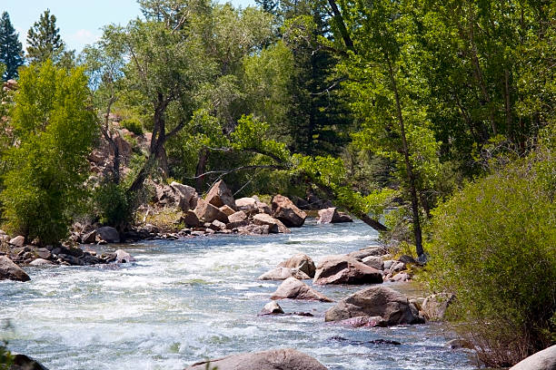 istock Beautiful scene on the Arkansas River in Colorado 482710704
