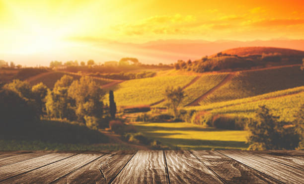 テーブルには、ブドウ園の景色 - vineyard tuscany italy italian culture ストックフォトと画像