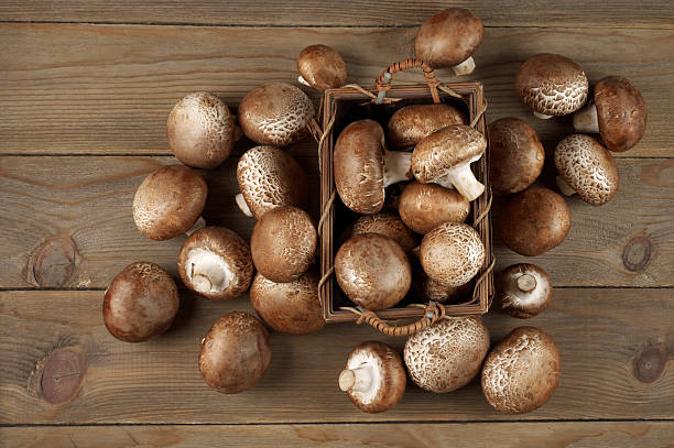 Brown cap mushrooms in basket Brown cap mushrooms in basket and around on rustic wooden background. Top view point. crimini mushroom stock pictures, royalty-free photos & images