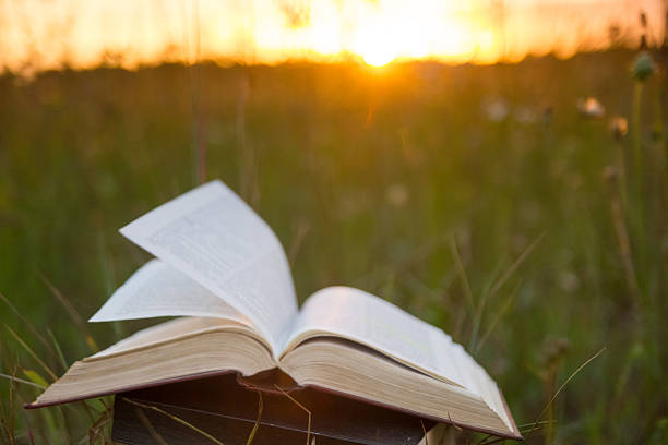 istock Opened hardback book with fanned pages on blurred nature background 482715214