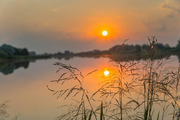 istock Dawn on the lake 482715602
