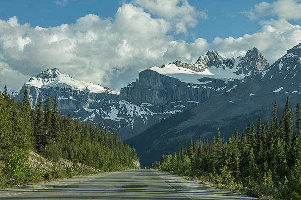 istock Mountain road with forest and snowy peaks 482715656