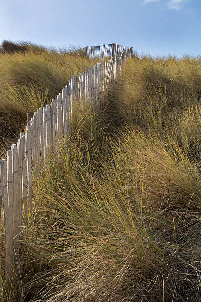 istock wooden fence 482719136