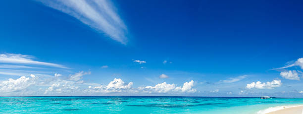 istock panorama of wild tropical Caribbean coast 482720200