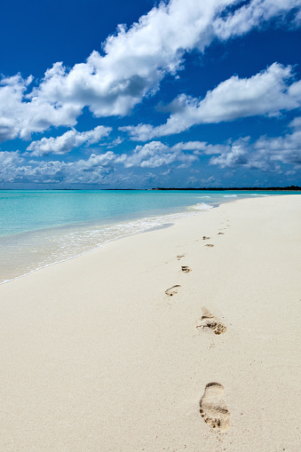 human footprints of bare feet on a sandy beach on the turquoise sea tropical Hawaiian Hawaiian Bahamas Maldives