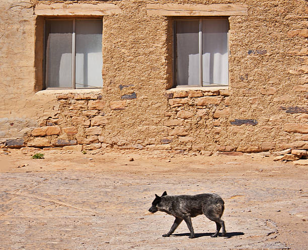 istock Native American Acoma Pueblo Adobe House 482725699