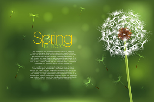 Vector illustration of Beautiful Spring Background, all elements are in separate layers and grouped.