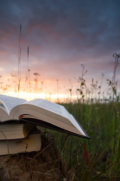 istock Opened hardback book with fanned pages on blurred nature background 482725776