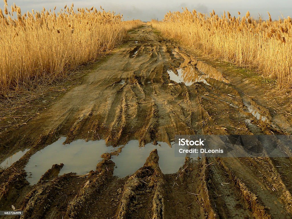 dirty rural road dirty rural road with deep tire tracks Agricultural Field Stock Photo