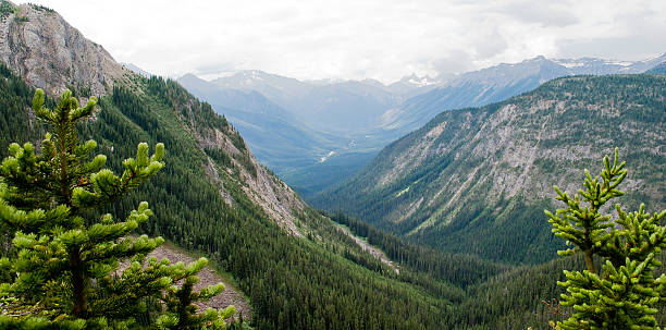 istock Alberta overlook into British Columbia 482727135
