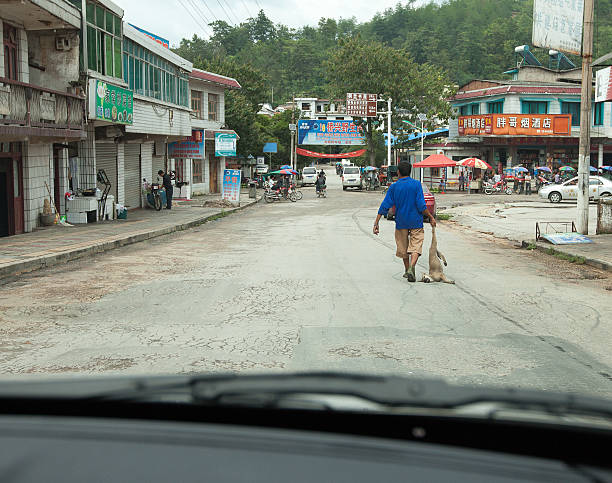 Man carrying away dead dog stock photo