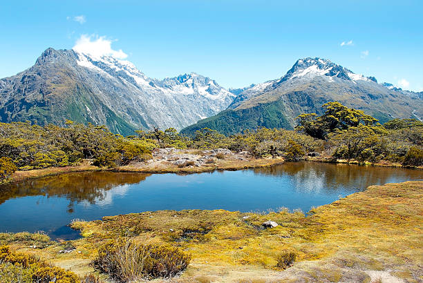 istock Fabulous scenery in New Zealand 482727663