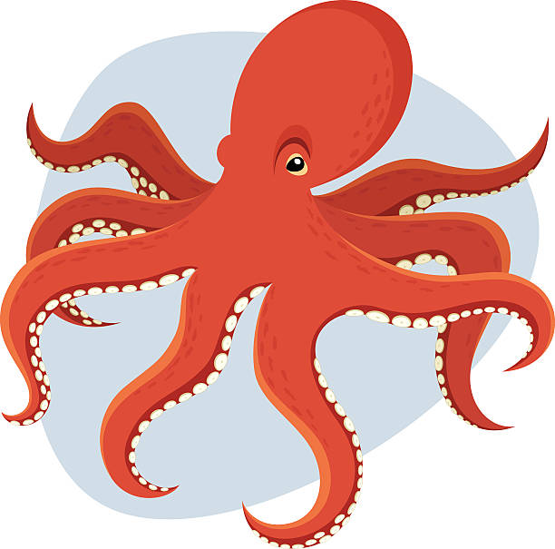 Octopus Vector illustration of an octopus against an abstract blue background. Background is on a separate layer from the octopus, and is easily removed in a program such as Illustrator, etc. Also included are high-res .jpg and .png files (.png with transparent background) WITH AND WITHOUT the background shape. Illustration uses no gradients, meshes or blends, only solid color. Both .ai and AI8-compatible .eps formats are included. octopus stock illustrations