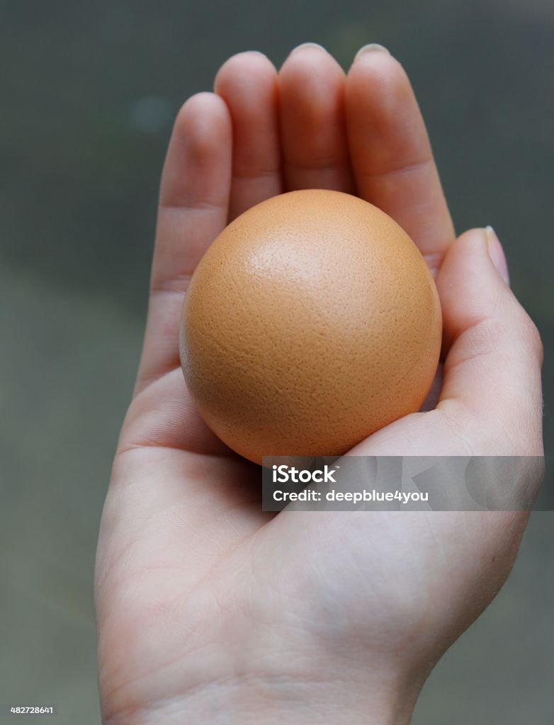 Un uovo in donna mano su bianco - Foto stock royalty-free di Adulto