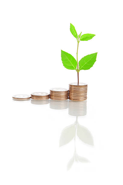 istock money stairs and green plant 482729247