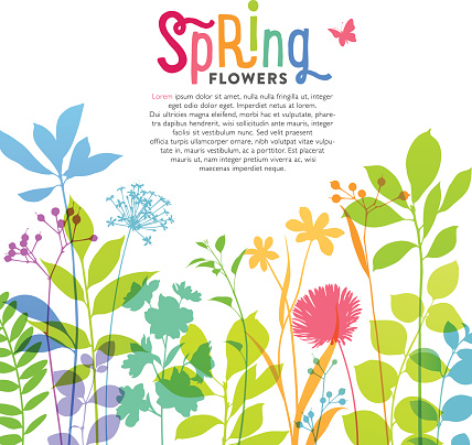 Spring flowers and stems are depicted against a plain background.  The illustration features a colorful array of flowers, leaves, greenery, blooms and stems jutting up from the bottom of the frame.  The colors used in the botanical elements include several shades of green, purple, blue, pink, orange and yellow.  The background is solid white in color.  At the top of the illustration, centered in the middle, is the word 