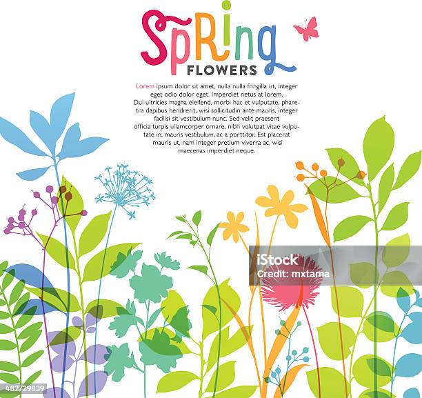 Illustration Of Colorful Spring Flowers And Stems Stock Illustration - Download Image Now - Springtime, Flower, Border - Frame