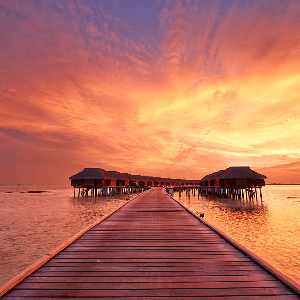 istock Sunset at Maldivian beach 482730629