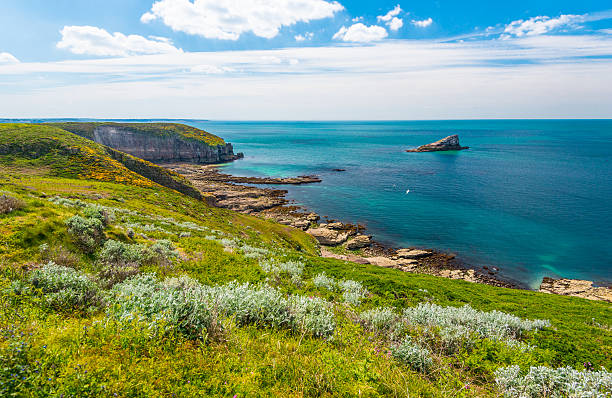 cape frehel, brittany - normandiya stok fotoğraflar ve resimler