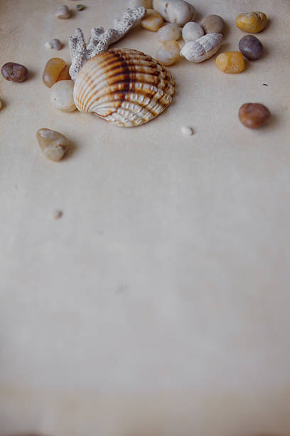 istock Old scroll of parchment with sea pebbles and seashells, nautical 482731824