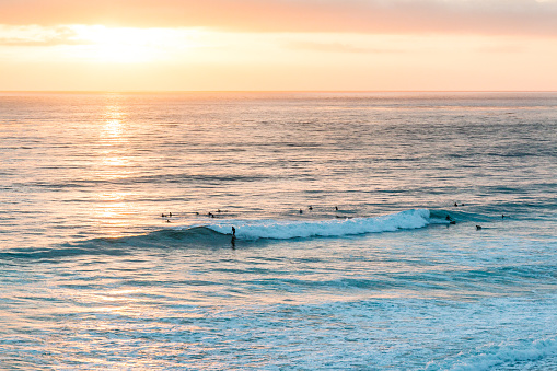 surfers at sunset in California