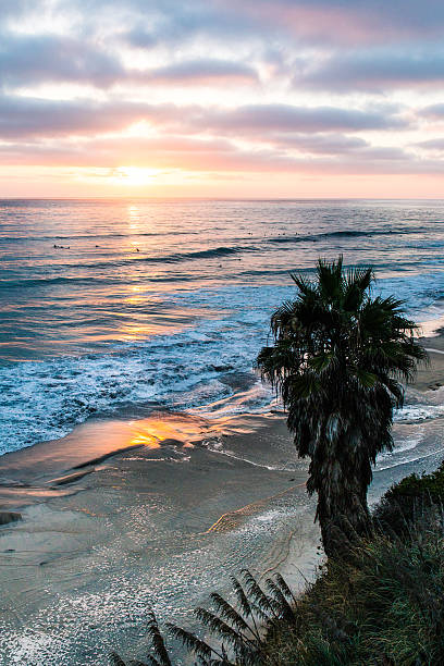 beach sunset stock photo