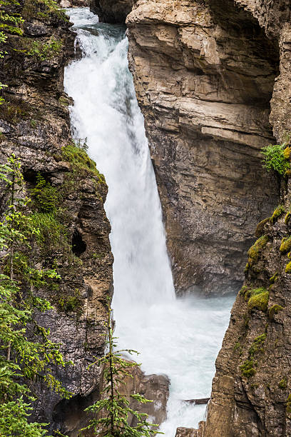 istock lower fall of Johnston Canyon I 482736182