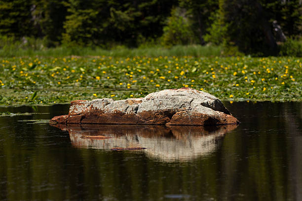 Boulder Reflection at Red Rock Lake in Colorado