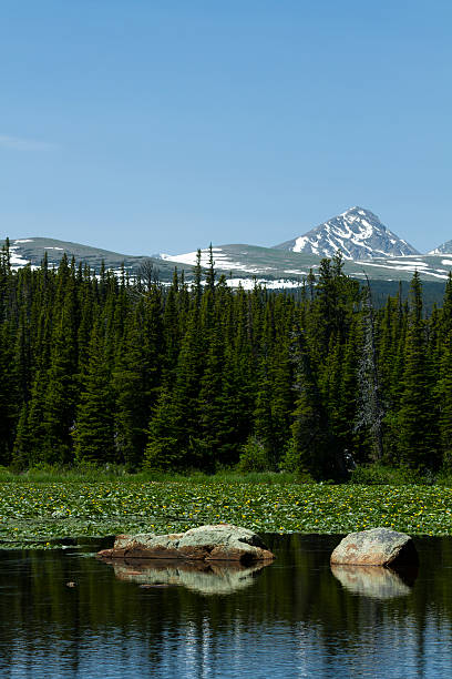 istock Dramatic Red Rock Lake with huge stones, forest, and mountains 482741070
