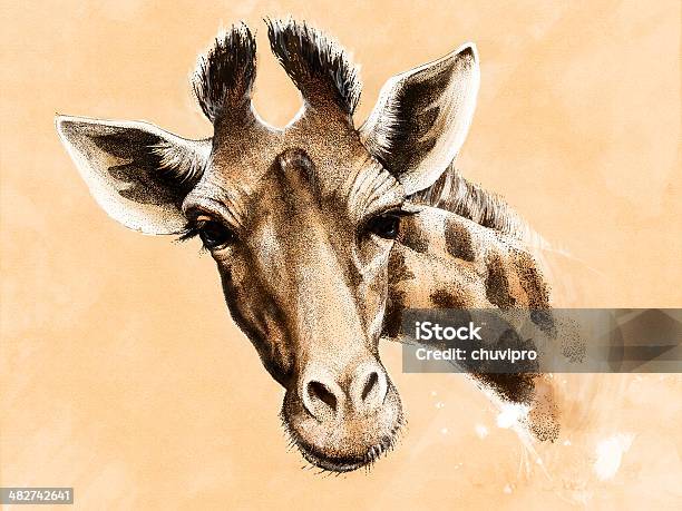 Giraffe Drawing Mixed Media Stock Illustration - Download Image Now - Drawing - Art Product, Animal, Giraffe