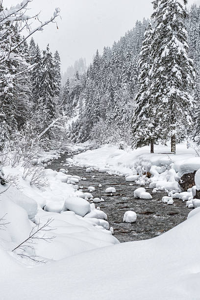 istock Winter in the Alps 482742654