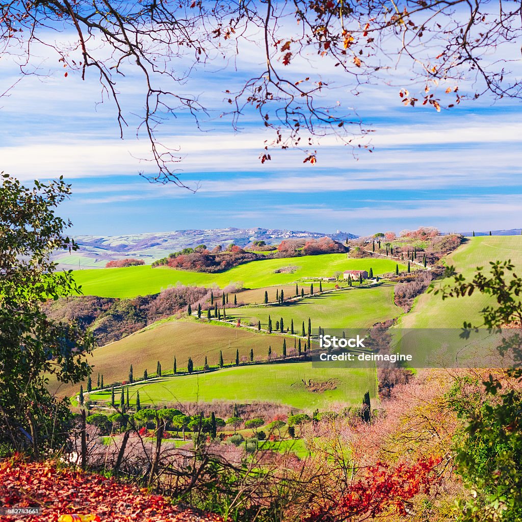 Paesaggio della Toscana i campi - Foto stock royalty-free di Alberato