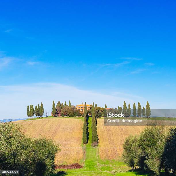 Paesaggio Della Toscana I Campi - Fotografie stock e altre immagini di Alberato - Alberato, Albero, Ambientazione esterna